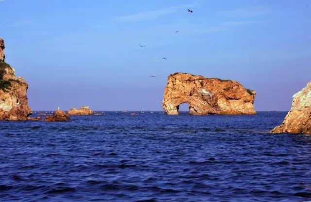 大连开海后的海鲜,开海了吃海鲜去哪个码头最便宜