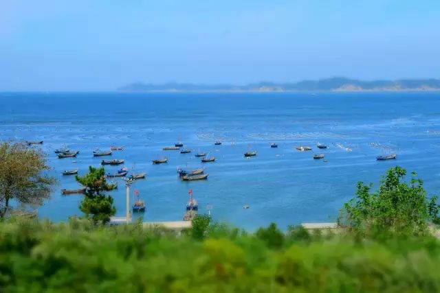 大连开海后的海鲜,开海了吃海鲜去哪个码头最便宜