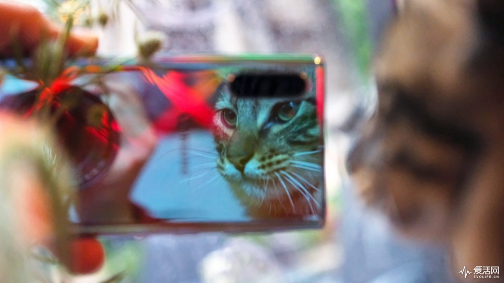 galaxynote10缺点,三星galaxynote10+国际版测评