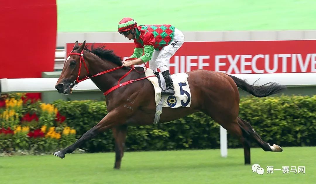 一日入账多少钱,一日进账17亿