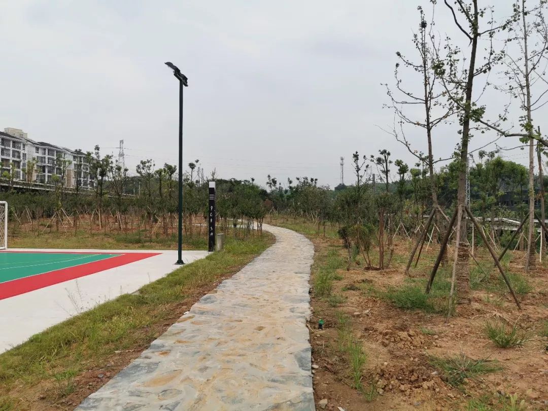 湖北日报关于宜昌的报道,湖北日报评论最新