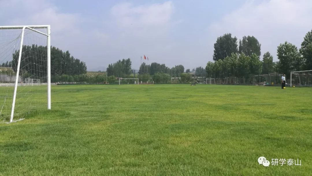 研学泰山,研学行万里探索知天下