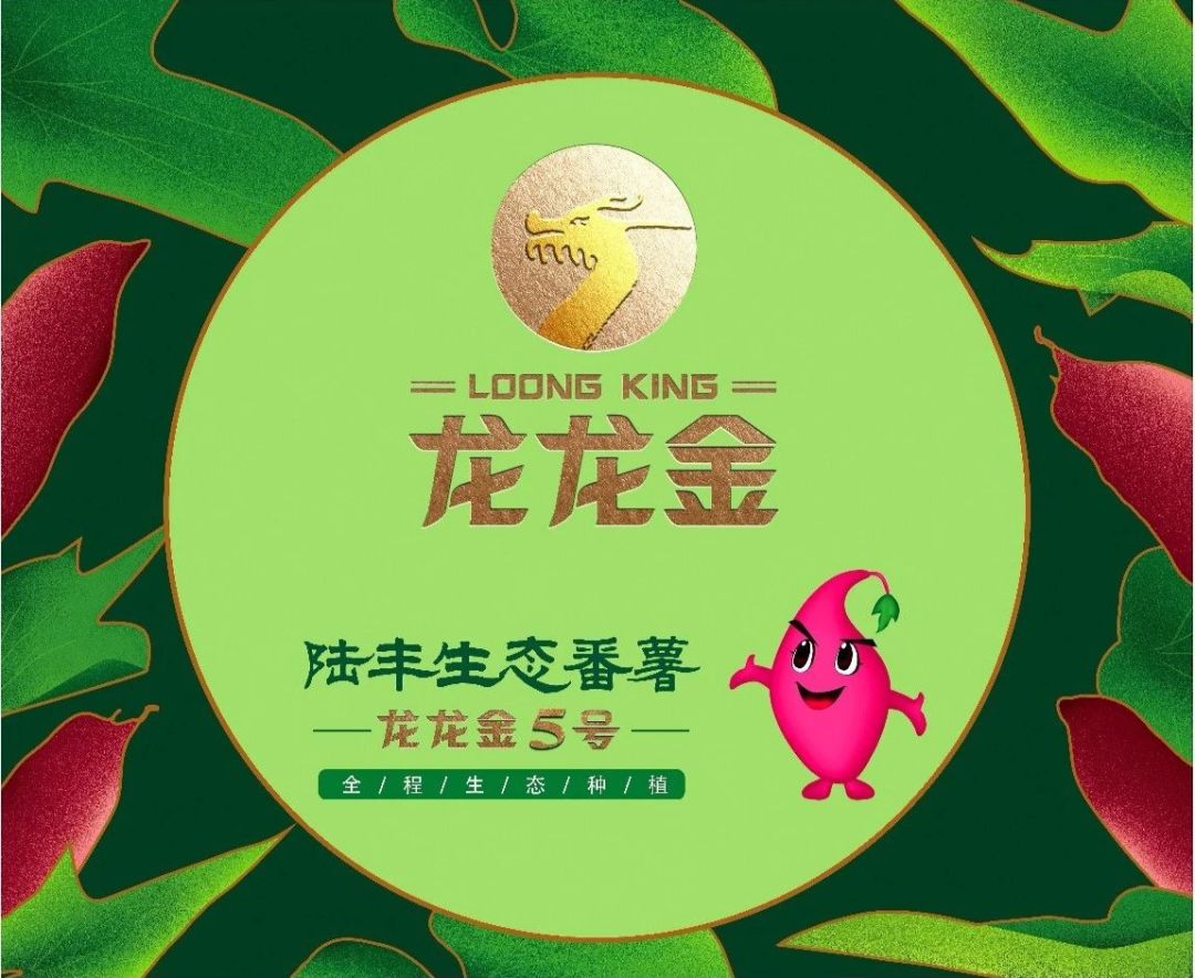 一字千金！最高拿万元！甘薯广告语征集！文案大神就是你