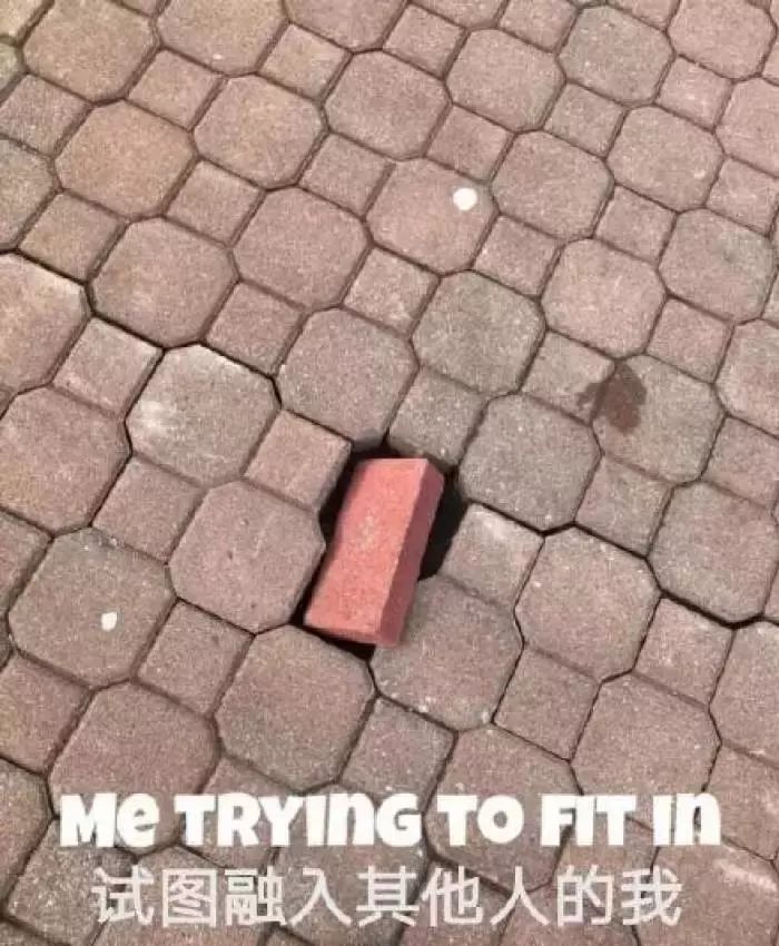 女教师与70后男家长聊天记录,95后女教师与70后中年男家长