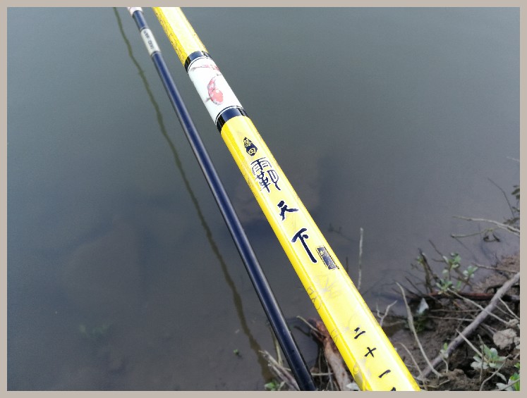 异地最后一次作钓，江鳊鱼获全部送邻居