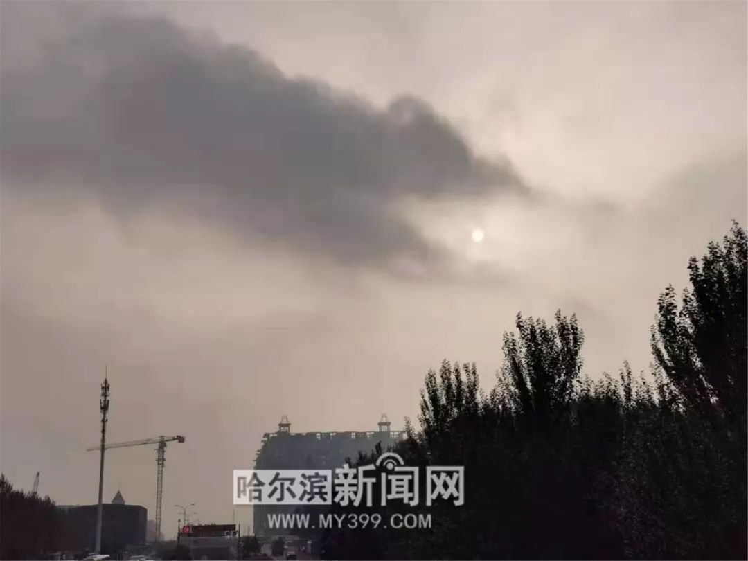 哈尔滨风景好的大公园推荐,哈尔滨松北区哪个公园好看