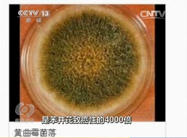 花生油压榨和土榨区别,农村土榨花生油能吃吗