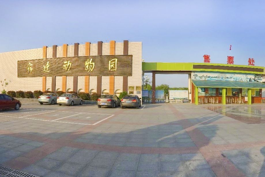 萌萌哒动物大联欢,萌萌哒海狮表演