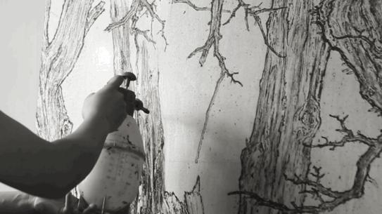 艺术家的画品,艺术家的收藏品