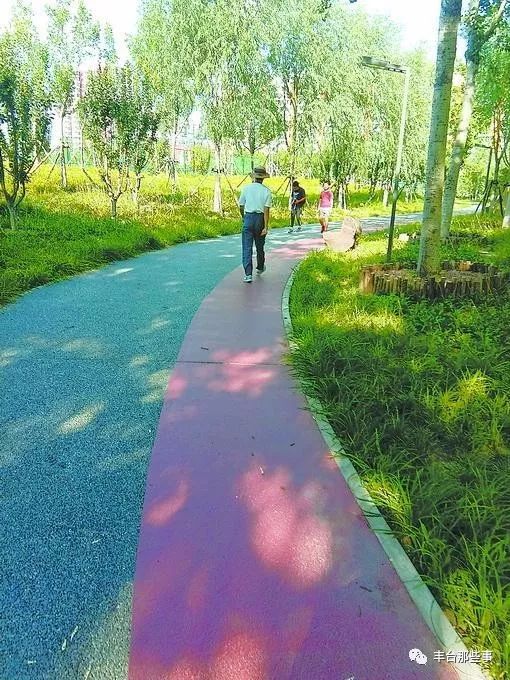 丰台新增的8处公园都在哪,丰台新建综合公园