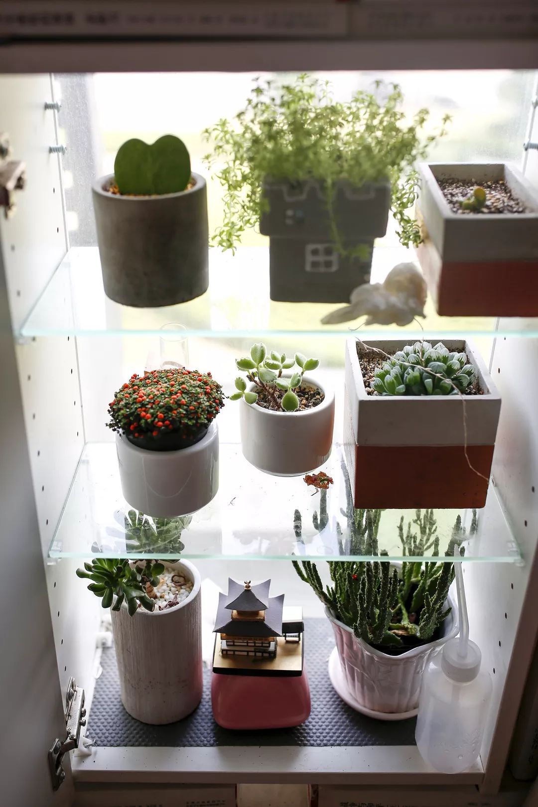 骞哥涔︾睄鎺ㄨ崘涔﹀崟,骞哥璇荤墿