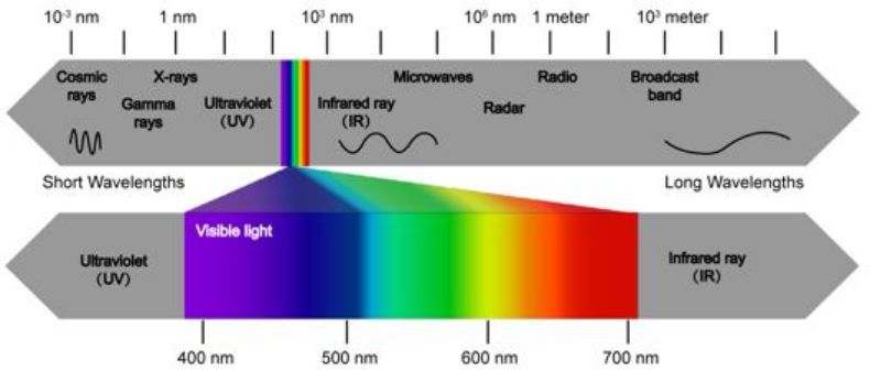 科学家研究超人类婴儿,科学家测试人类视觉