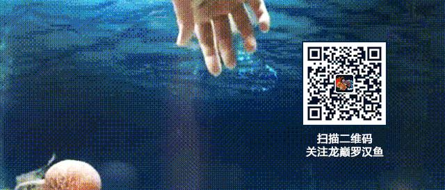 慢性肠炎用中医还是西医治疗好,肠炎食疗最简单方法