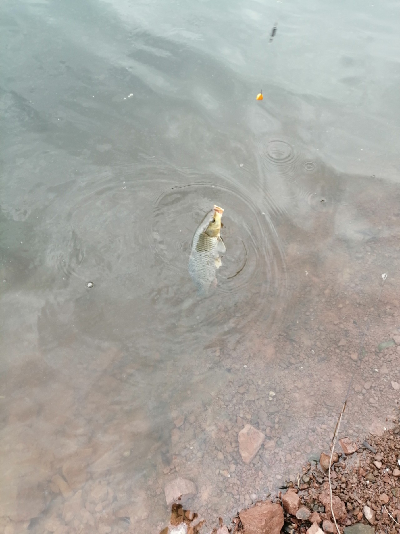 别人对你说钓鱼是什么意思,对于钓鱼各位钓友有什么看法