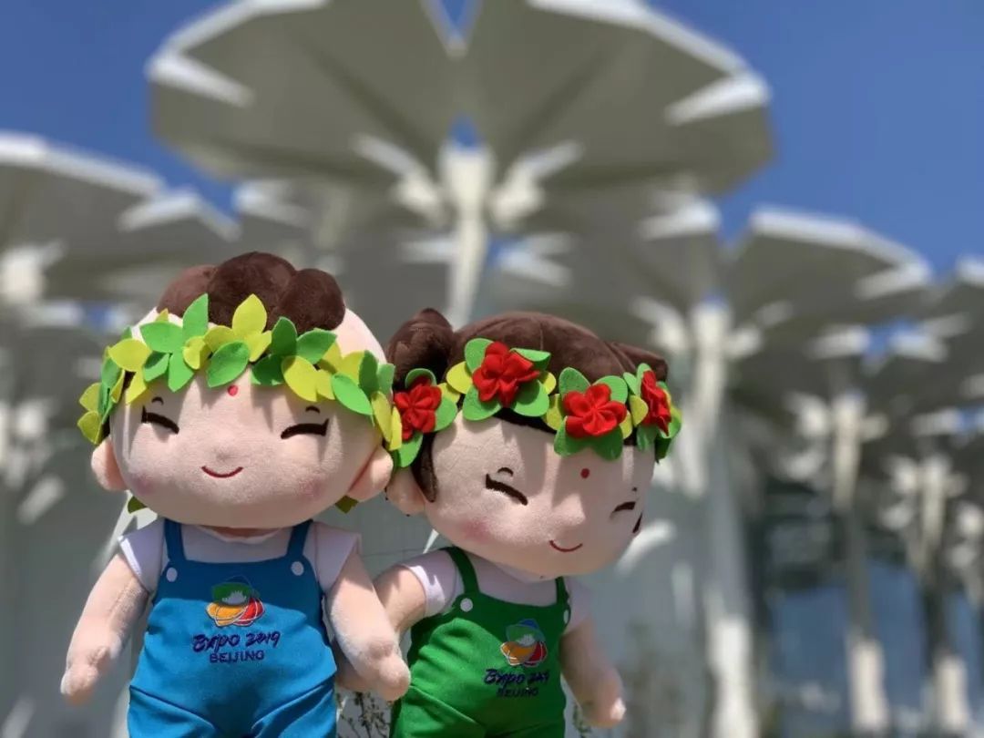 北京世园会2019小萌花,北京世园公园小萌芽