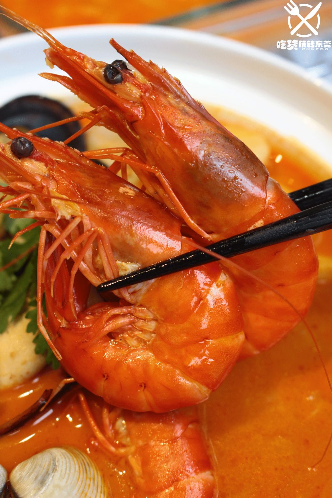 鸡苗高口碑店铺,口碑好的优质鸡