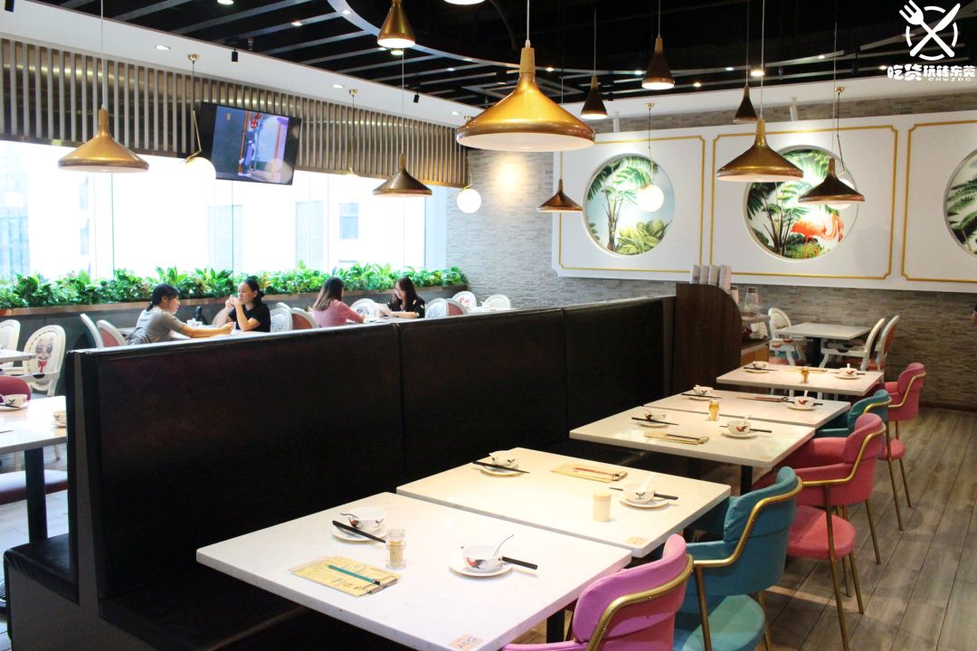 鸡苗高口碑店铺,口碑好的优质鸡