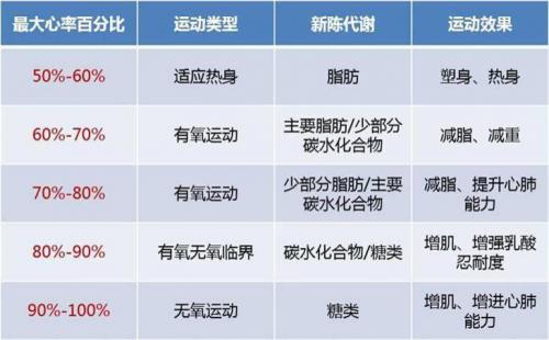 有哪些好的运动手环的品牌,运动手环推荐哪一款2024