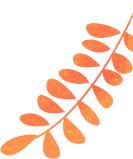 宜昌看红叶最佳地点,宜昌红叶最佳地点