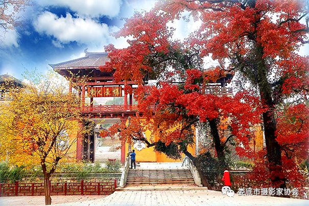 生态娄底美丽家园——【壮丽70年奋斗新时代】娄底首届风光摄影作品展览生态小品作品选登