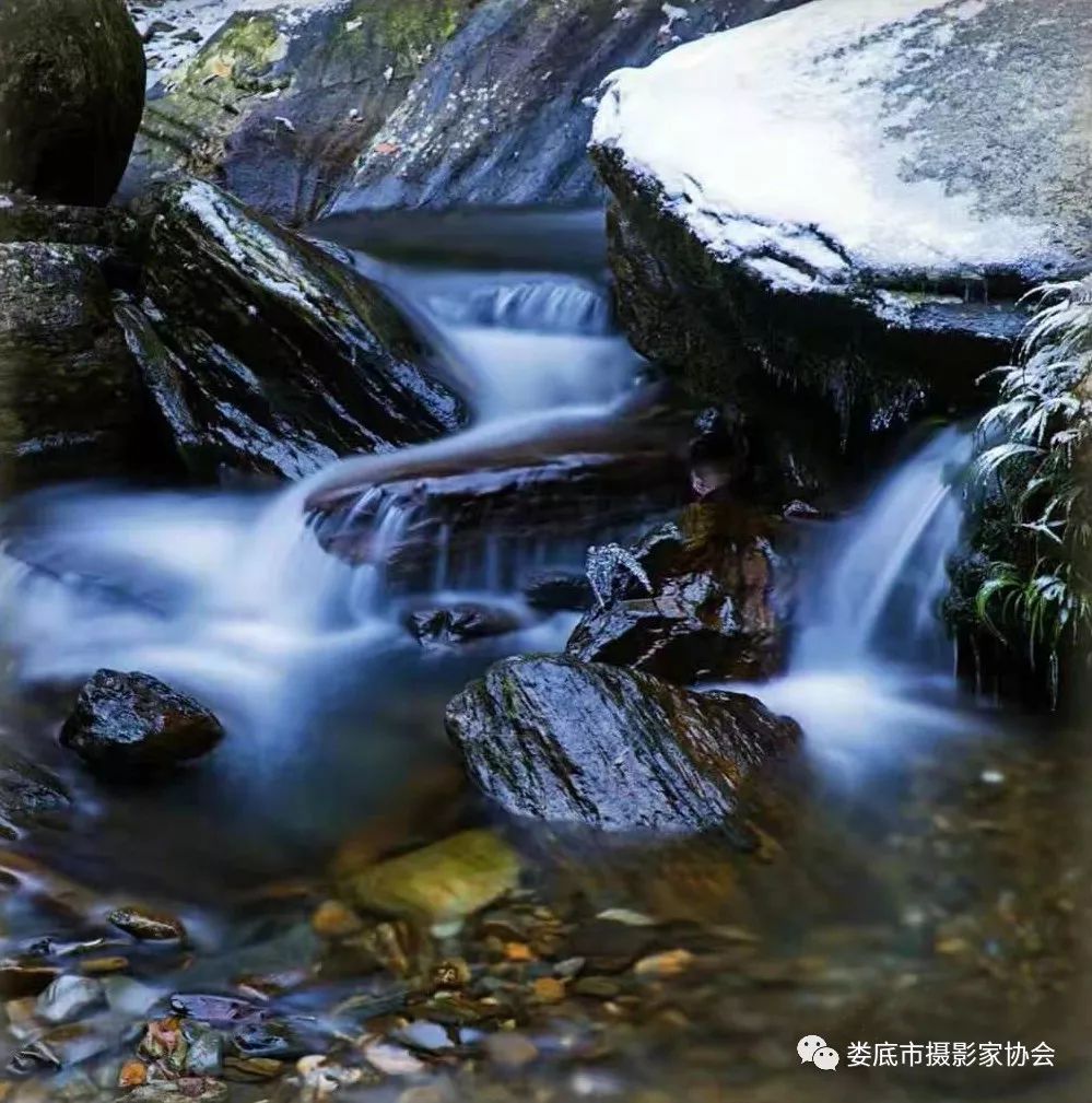 生态娄底美丽家园——【壮丽70年奋斗新时代】娄底首届风光摄影作品展览生态小品作品选登