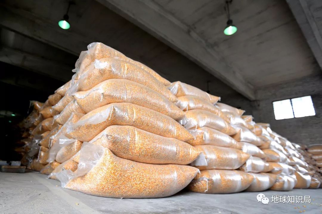 铁路未来会怎样,铁路怎么改造