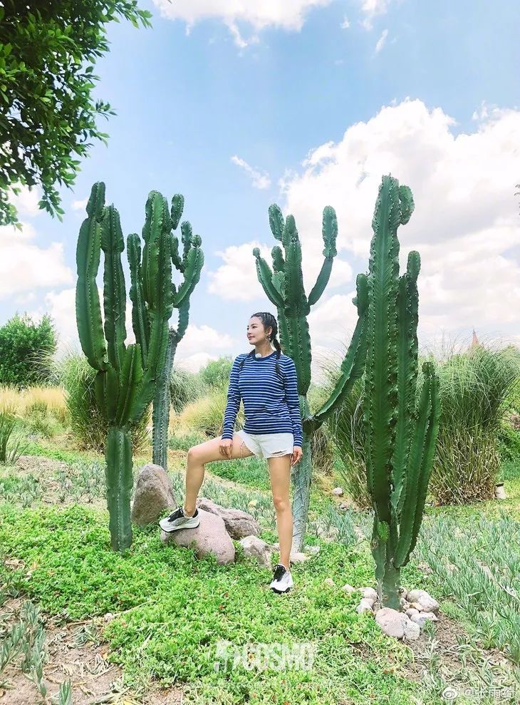 缇庝汉璁¤兌鍘熻泲鐧借偨楗搧,缇庝汉璁＄槮閲戜綋鑳跺師铔嬬櫧