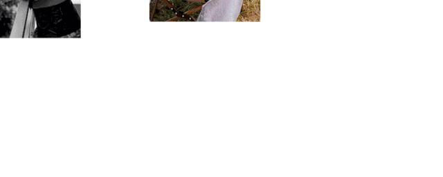 身体乳怎么选择最好的,如何选适合自己的身体乳