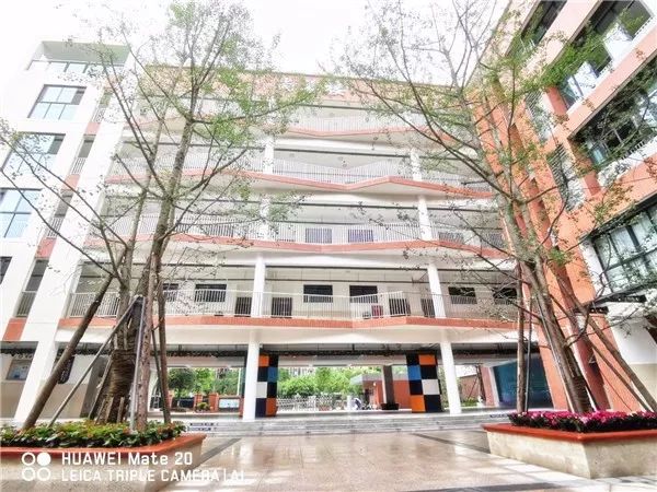 成都各区新投入使用小学大PK，到底谁才是成都新晋网红学校？（内含划片范围）