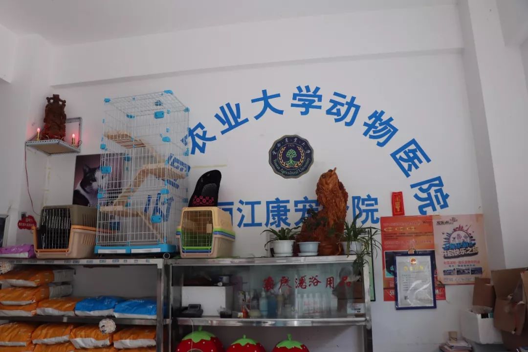 丽江宠物基地,丽江最好的宠物医院