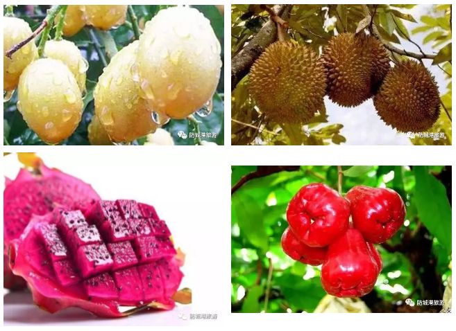 上山下海出国,上山下海出国游