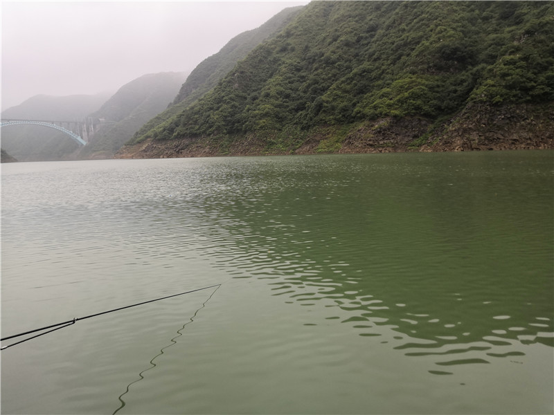 首钓官道狂拉草快乐才是垂钓的根本