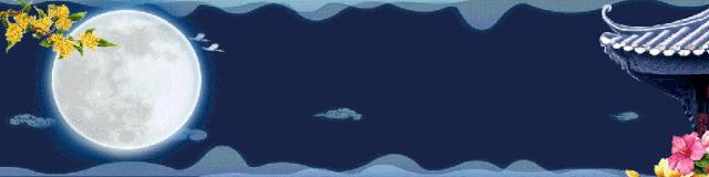 成都酒吧在哪个区最多,成都为什么酒吧最多