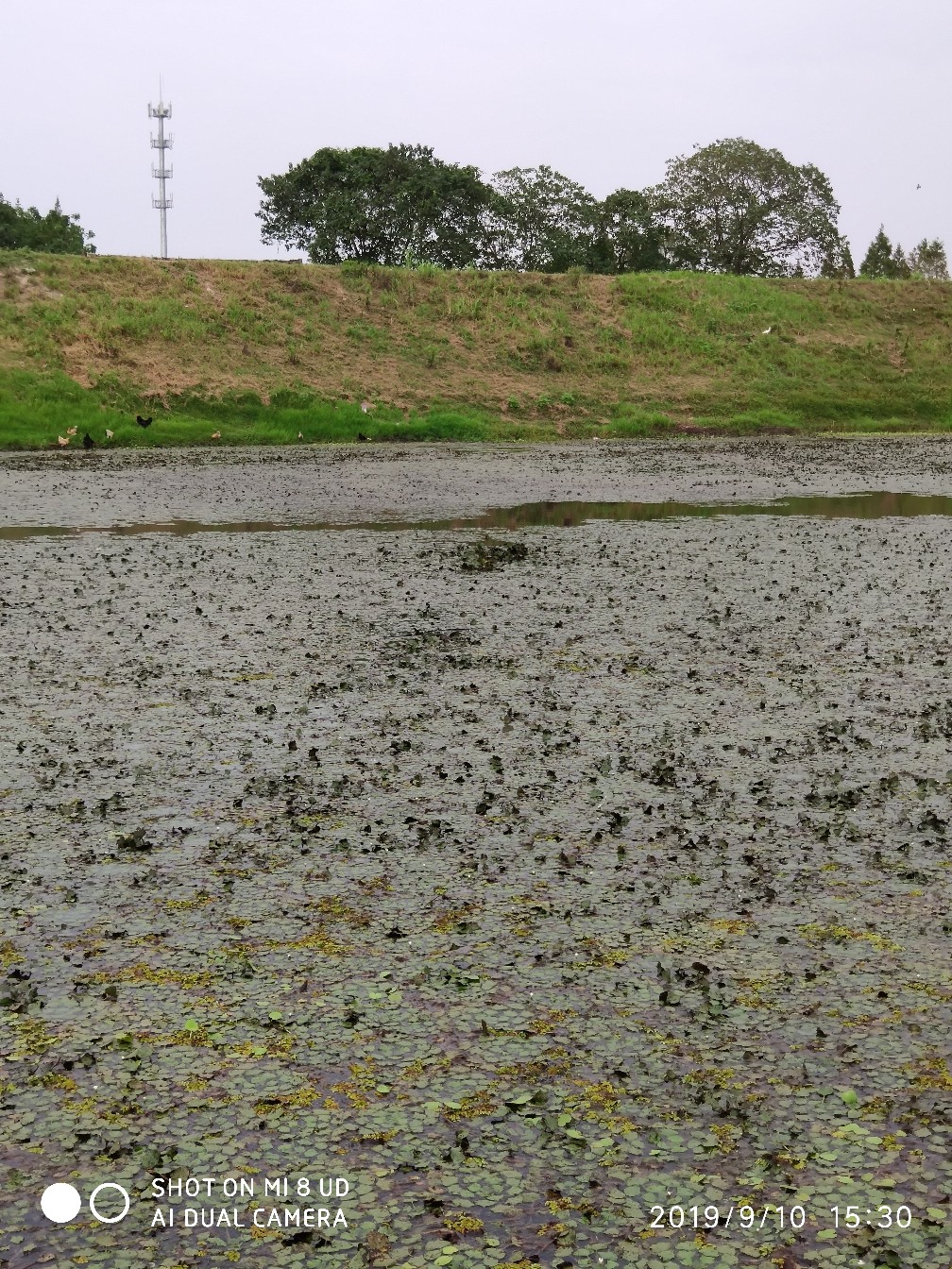 鼓轮经常爆线是什么原因,鼓轮爆线怎么办