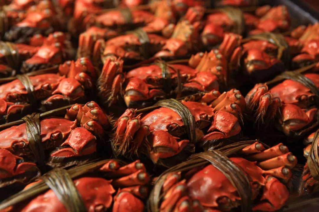 大闸蟹为什么这么好吃,大闸蟹公好还是母好吃