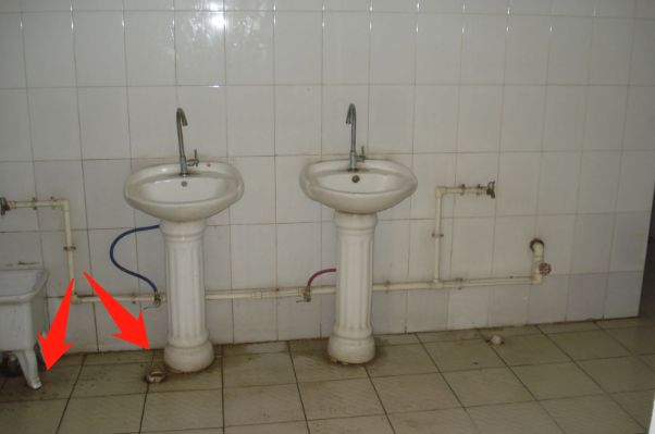 预防登革热时刻在行动,科普清理小积水防控登革热