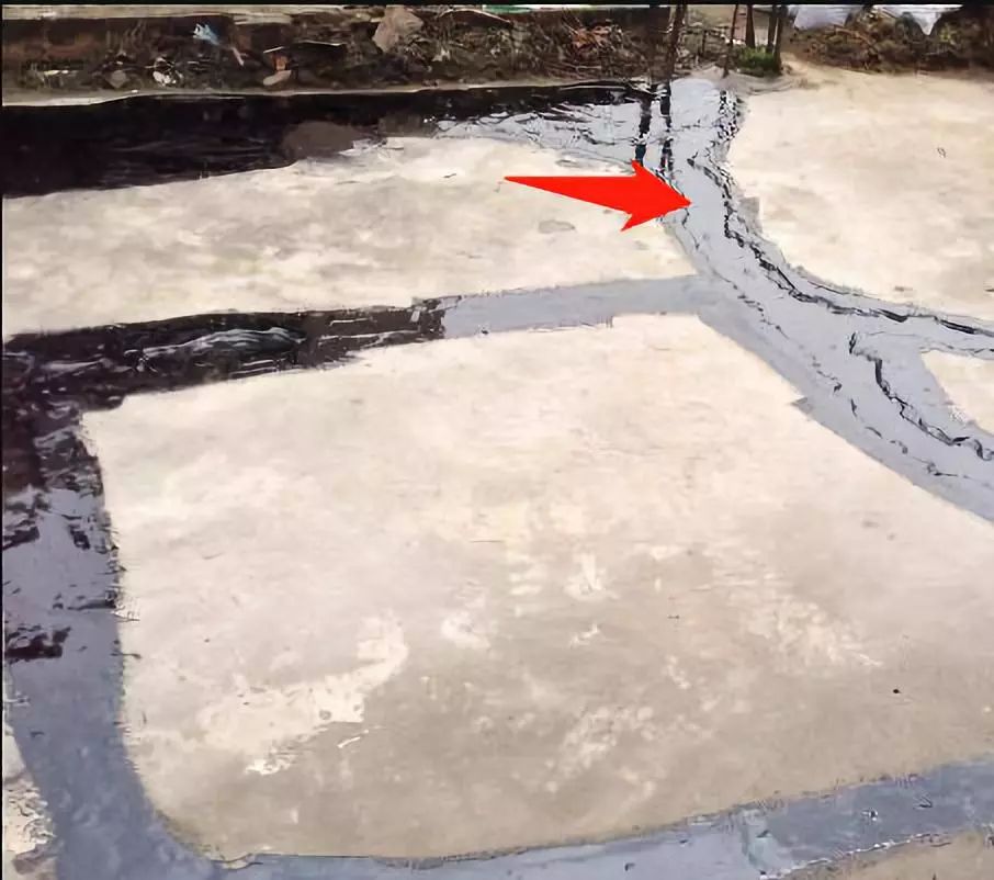 预防登革热时刻在行动,科普清理小积水防控登革热