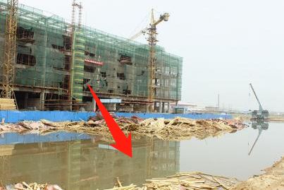 预防登革热时刻在行动,科普清理小积水防控登革热