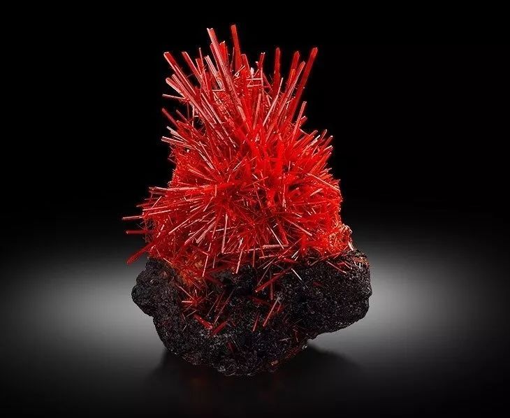 谁还不是个小可爱呢下一句,谁还不是小可爱