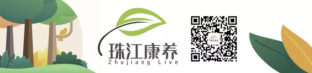 情况严重！江门新会19岁女孩天天吃鱼，竟致手脚长满疱疹