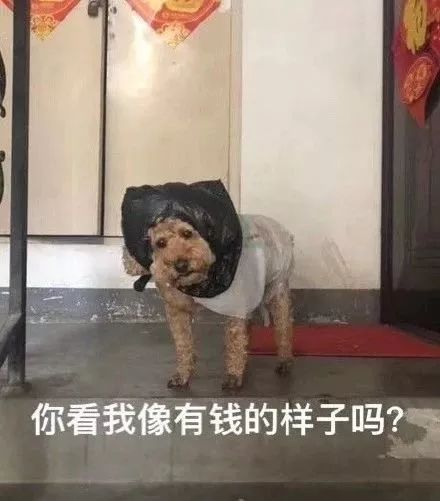 秋冬最火口红推荐,秋冬推荐口红新色号必入