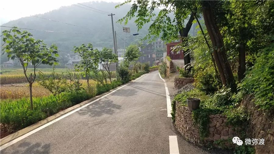 弥渡最富的村庄,弥渡德苴最美村庄