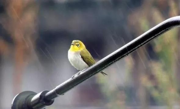 为人强势但能力惊人的三大星座,聪明又狡猾的三个星座比较难对付