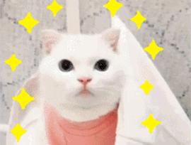 护肤好物你一定要知道,一定要知道的护肤好物