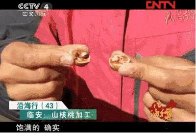 好好剥正宗临安山核桃,临安山核桃什么时候最好吃