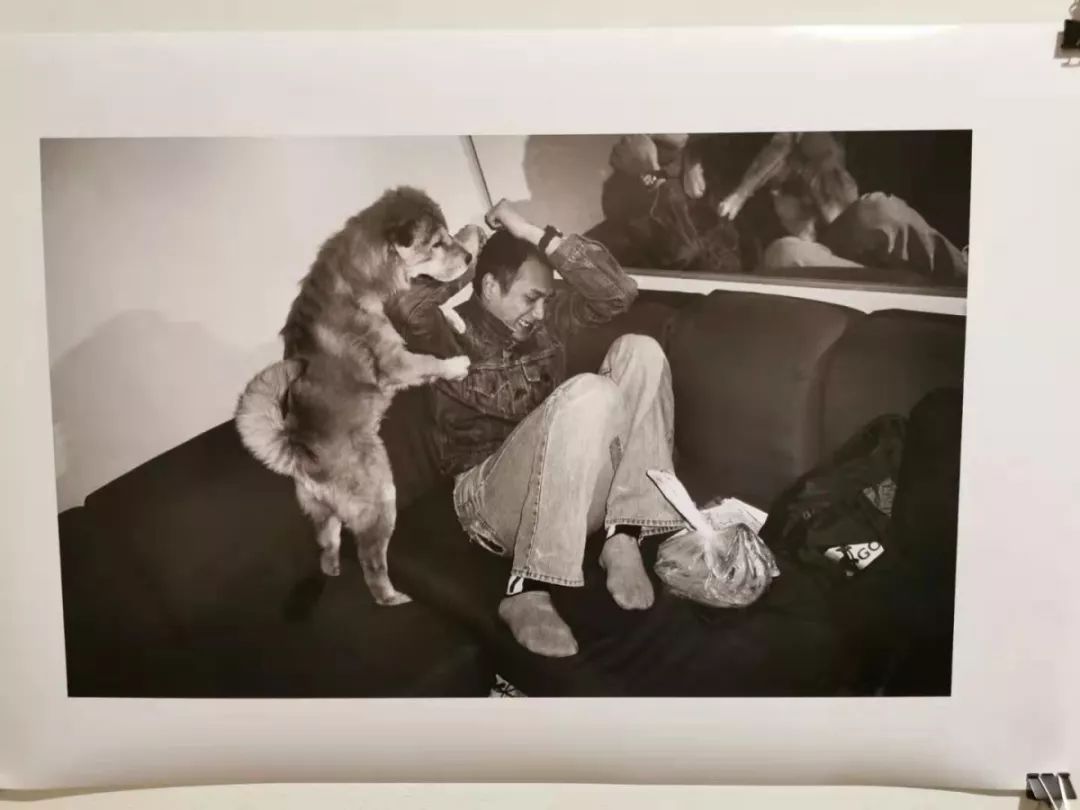 崔健秦勇窦唯,张楚崔健评价窦唯完整视频