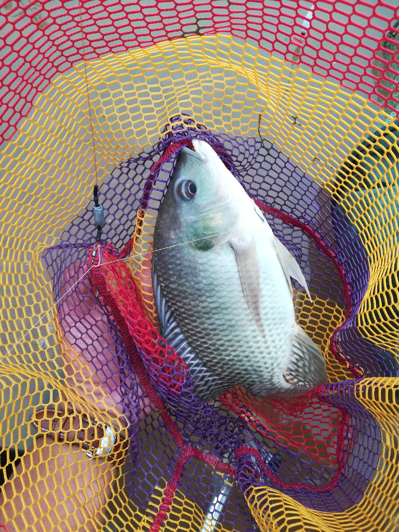 兄弟齐心不轻言放弃排除困难最终得圆满