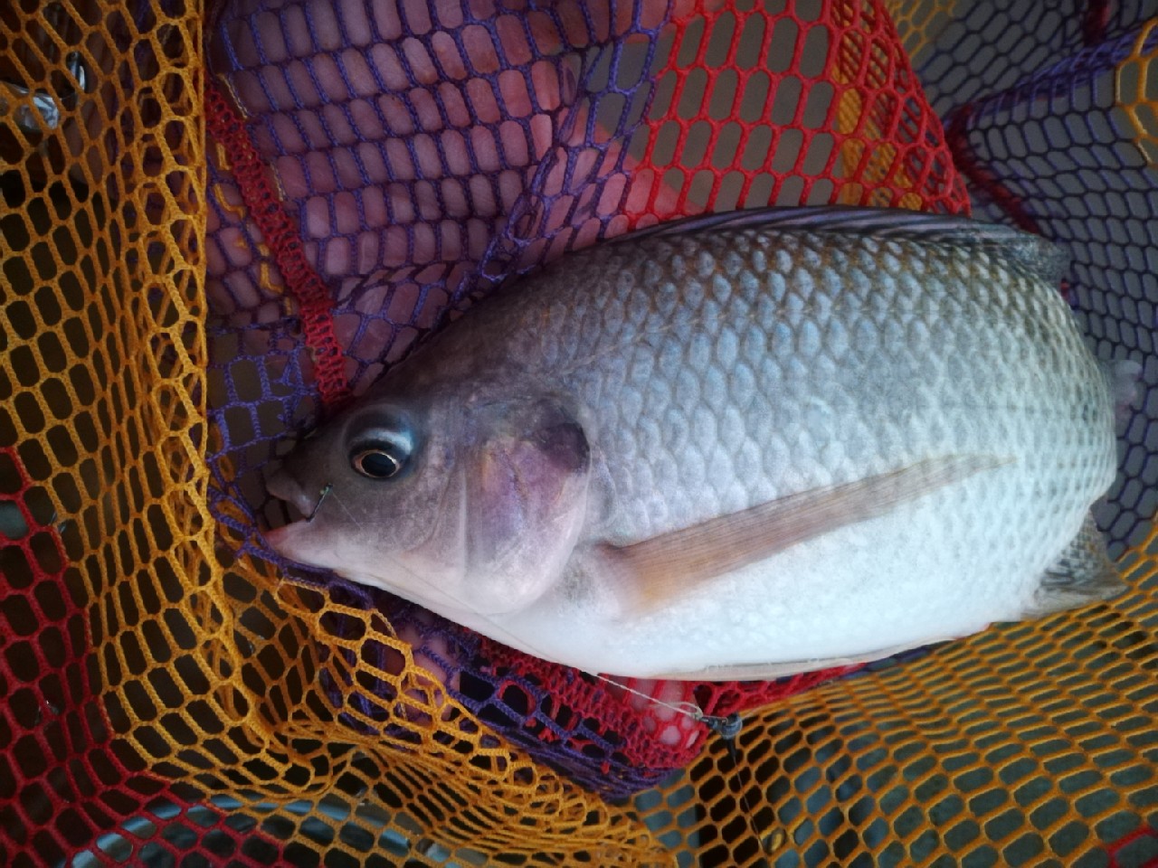 兄弟齐心不轻言放弃排除困难最终得圆满