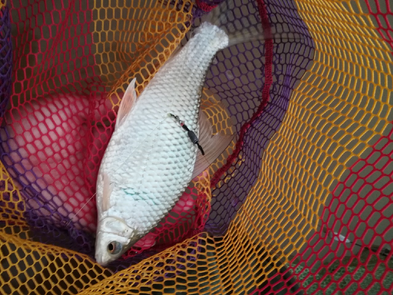 兄弟齐心不轻言放弃排除困难最终得圆满