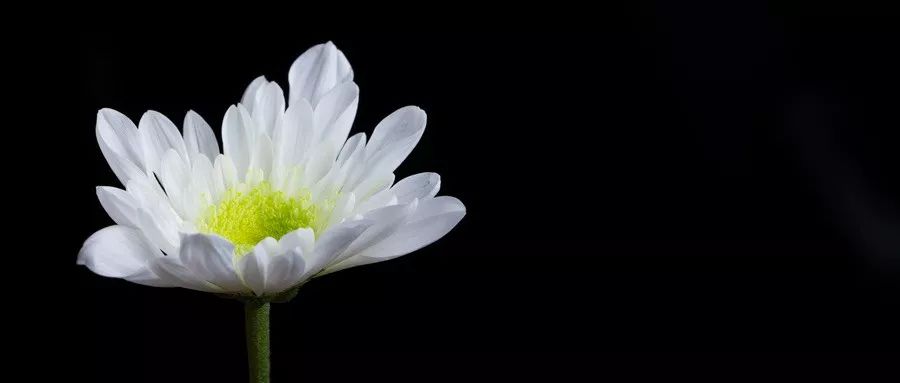 外婆过世了我该怎么办,外婆去世怎么办